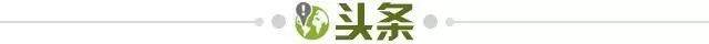 eca8a059-2bfb-4d23-8429-43de18b7c20a.jpg@!img01